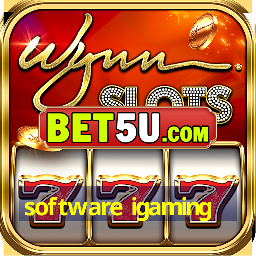 software igaming